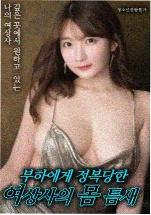 流星档案电影封面示意图